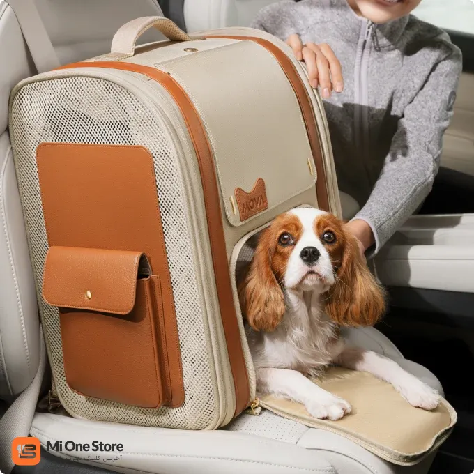 ایمنی در خودرو و سفر (Car Seat Compatible)